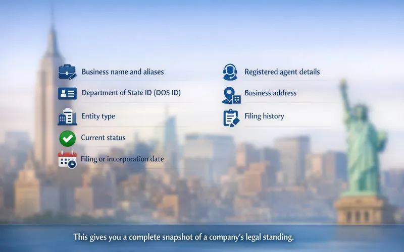 New York business entity search details including business name, DOS ID, entity type, status, incorporation date, registered agent, address, and filing history